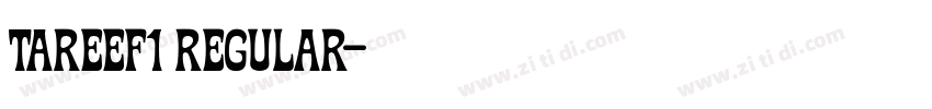 Tareef1 Regular字体转换